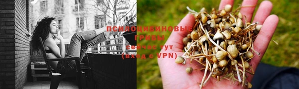 jwh Дмитровск