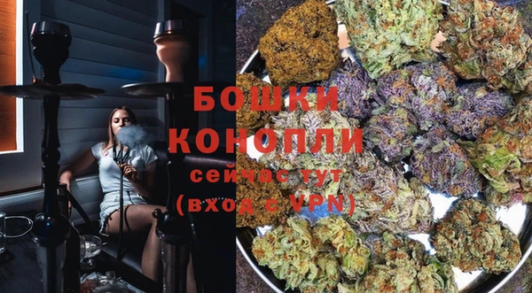 мяу мяу кристалл Дмитров