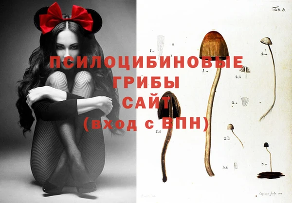 мяу мяу кристалл Дмитров