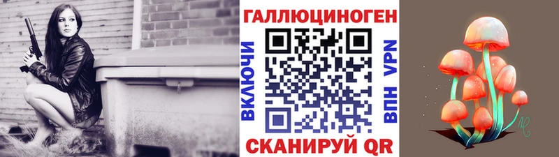 Псилоцибиновые грибы Psilocybe  Купить где  Зеленогорск 